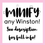 Minify Any Winston!